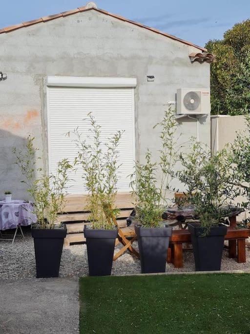 Appartement 53 M² - Pignans Au Coeur Du Var المظهر الخارجي الصورة